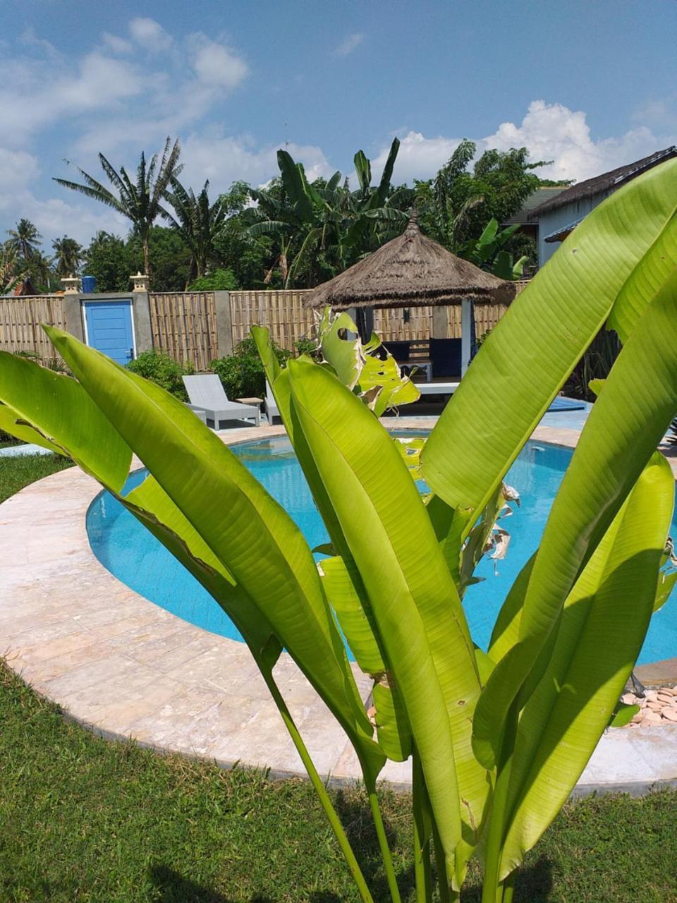 Casa Azzurra Bed & Breakfast Gili Air Ngoại thất bức ảnh